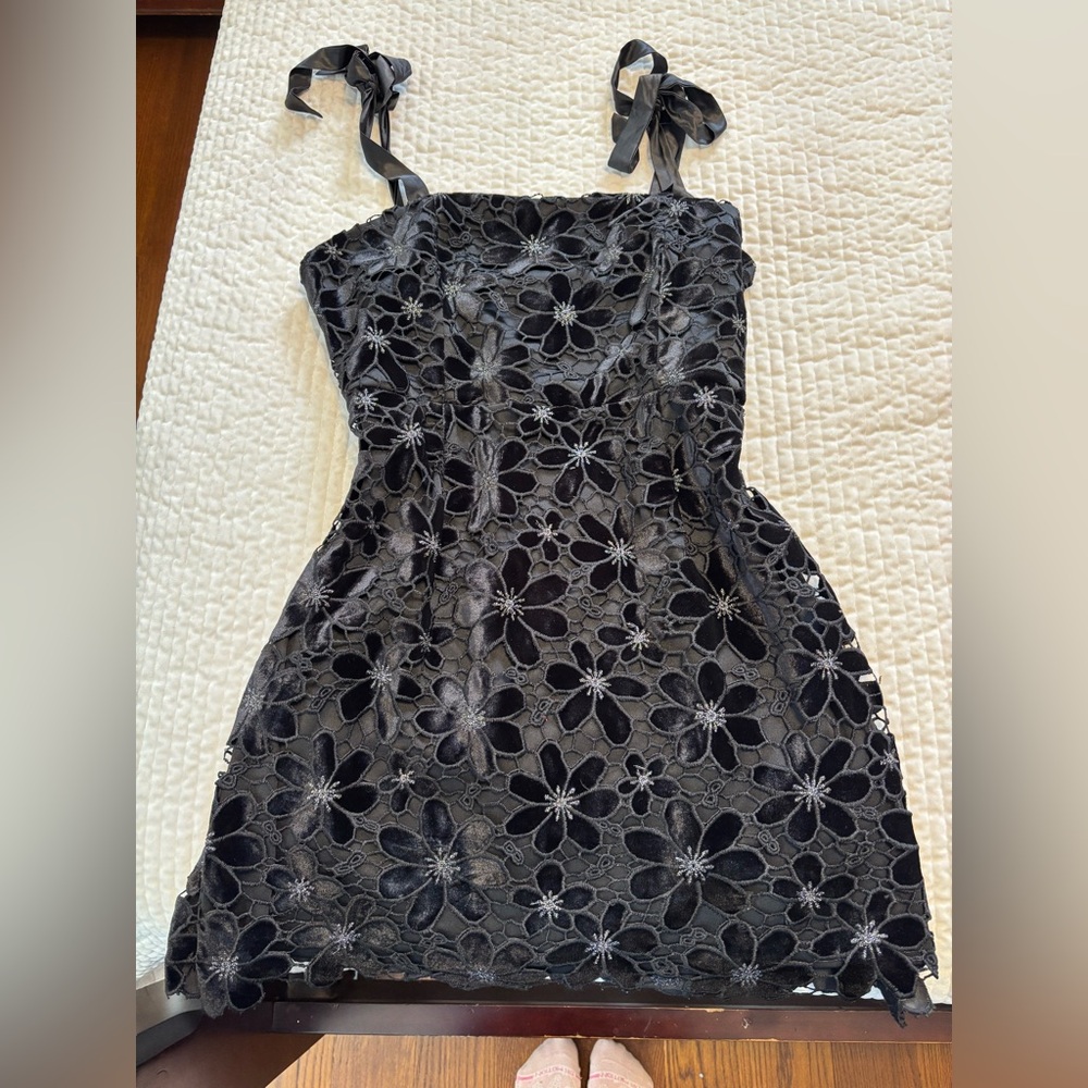 Lulus Embroidered Dress!